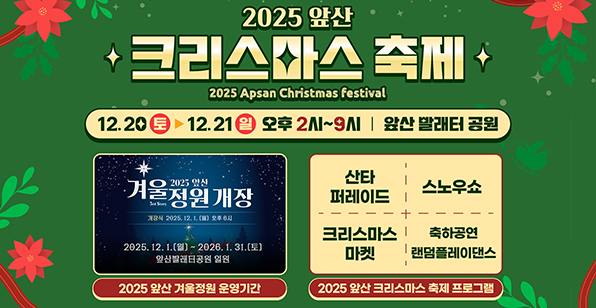 2025 앞산 크리스마스 축제