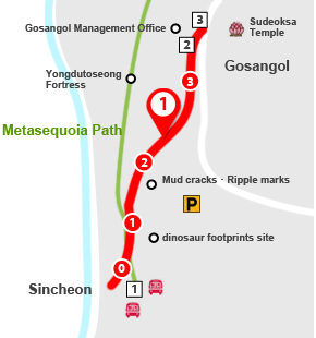 Trail 1: Metasequoia Path - Sincheon, Metasequoia Path, Yongdutoseong Fortress, Gosangol Management Office, Sudeoksa Temple, Mud cracks, Ripple marks, dinosaur footprints site