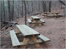 Picnic tables and benches