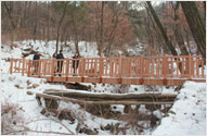 Photograph of wooden bridge