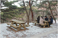 Photograph of Picnic Table Zone
