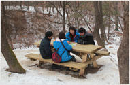 Photograph of picnic tables