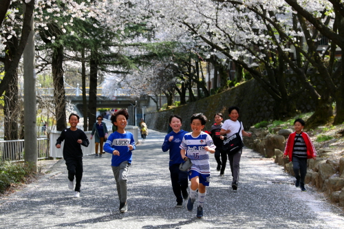 벚꽃터널 속의 달리기