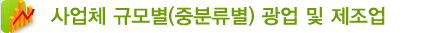 사업체 규모별(중분류별) 광업 및 제조업