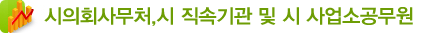 시의회 사무처, 시 직속기관 및 시 사업소 공무원