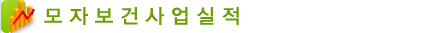 모자보건사업실적