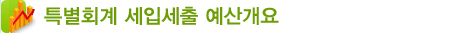 특별회계 세입세출 예산개요